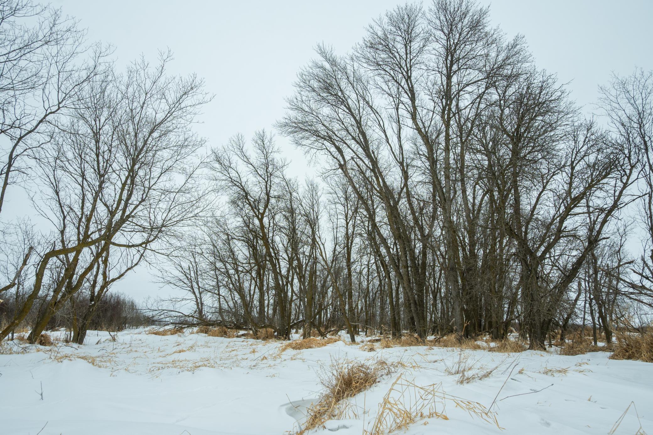 Tbd Sunny Acres Road Northeast Nelson, MN 56355 - Photo 33 of 67