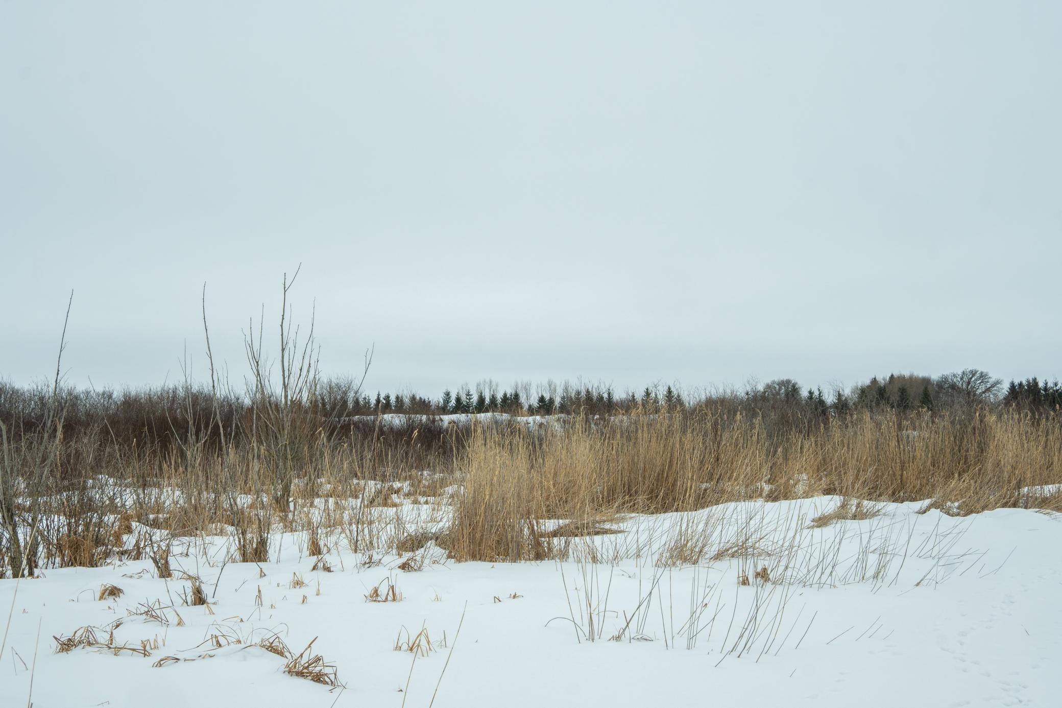 Tbd Sunny Acres Road Northeast Nelson, MN 56355 - Photo 39 of 67