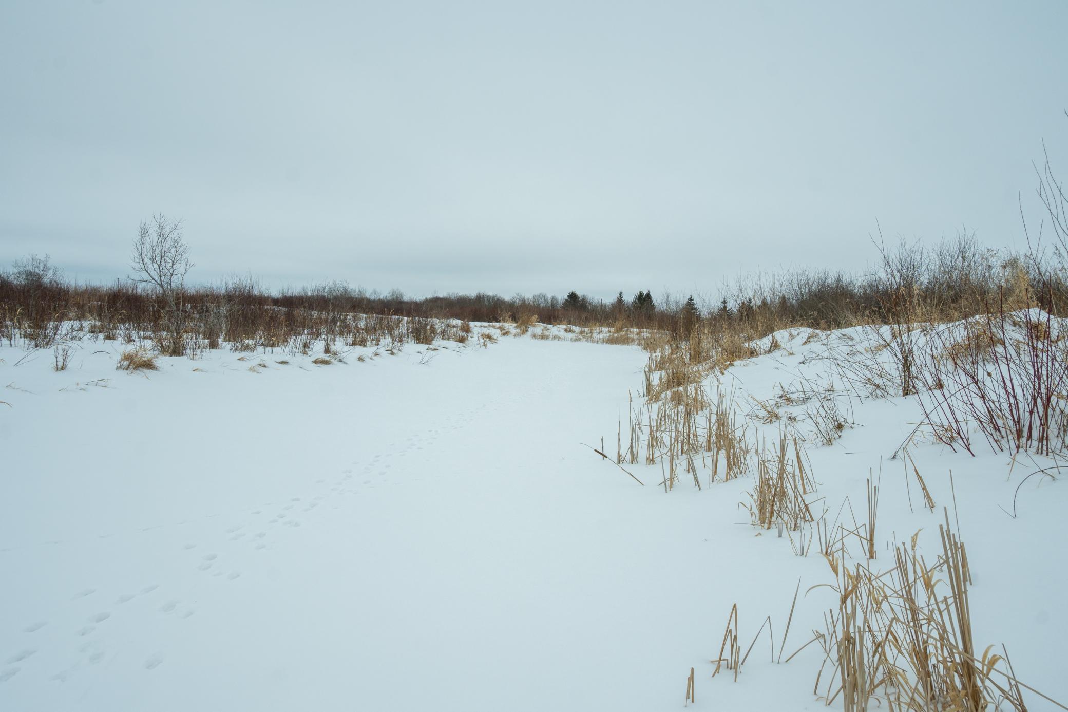 Tbd Sunny Acres Road Northeast Nelson, MN 56355 - Photo 45 of 67