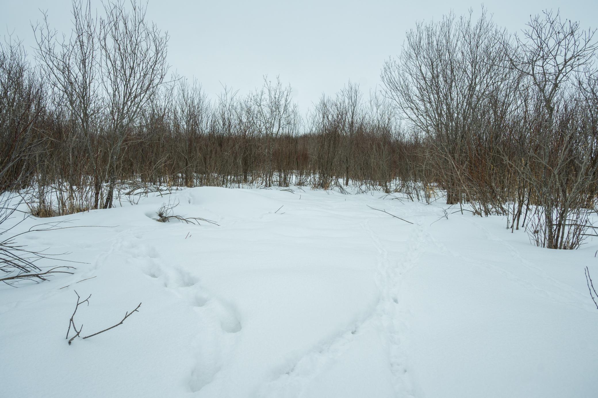 Tbd Sunny Acres Road Northeast Nelson, MN 56355 - Photo 46 of 67