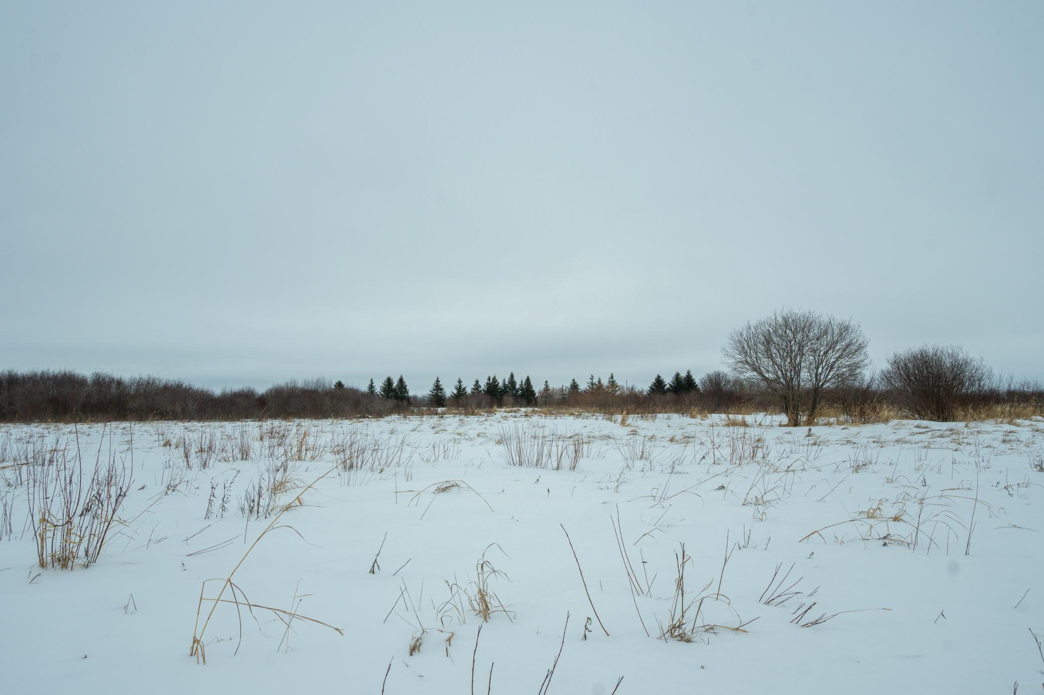 Tbd Sunny Acres Road Northeast Nelson, MN 56355 - Photo 48 of 67