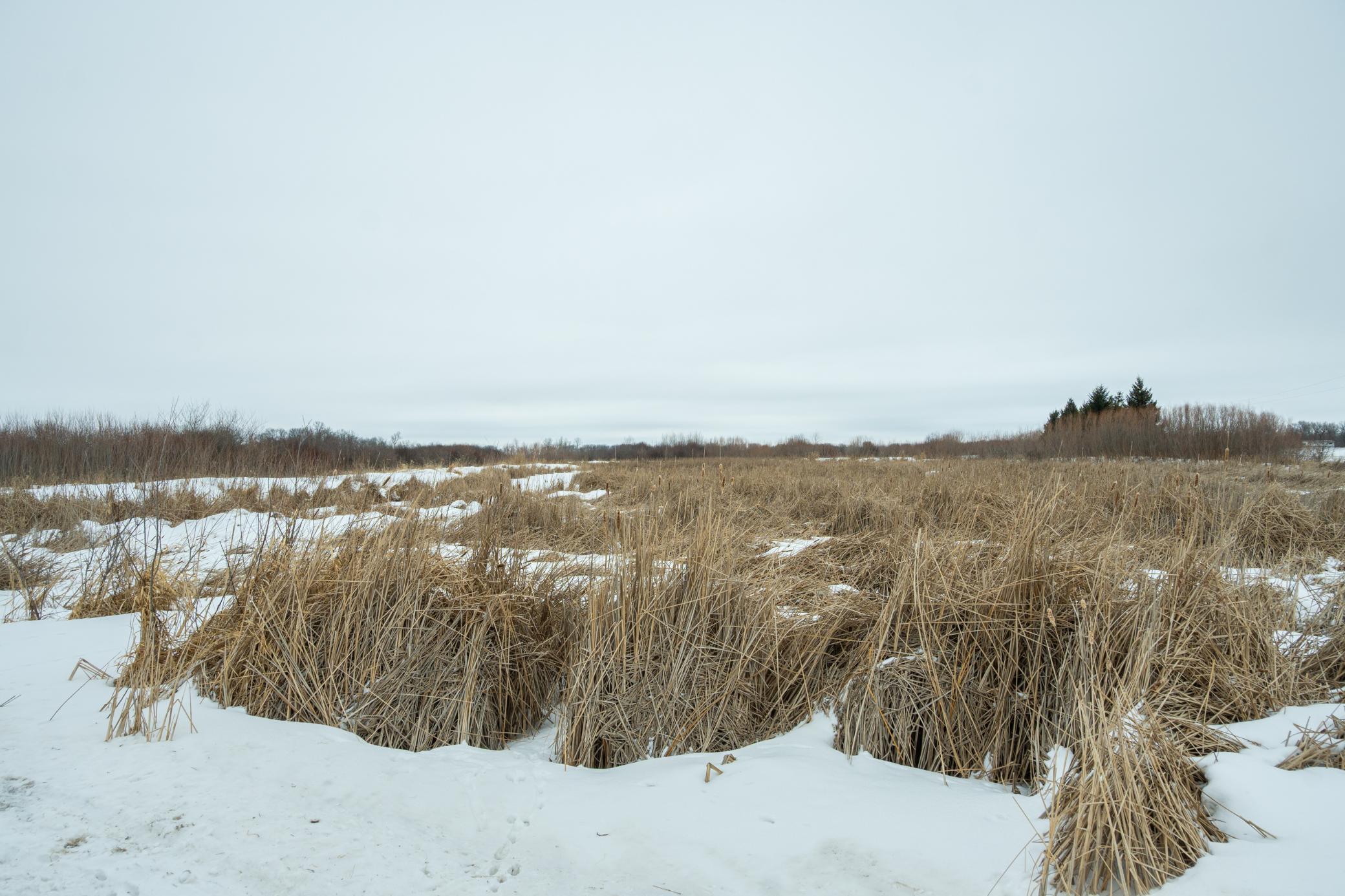 Tbd Sunny Acres Road Northeast Nelson, MN 56355 - Photo 50 of 67