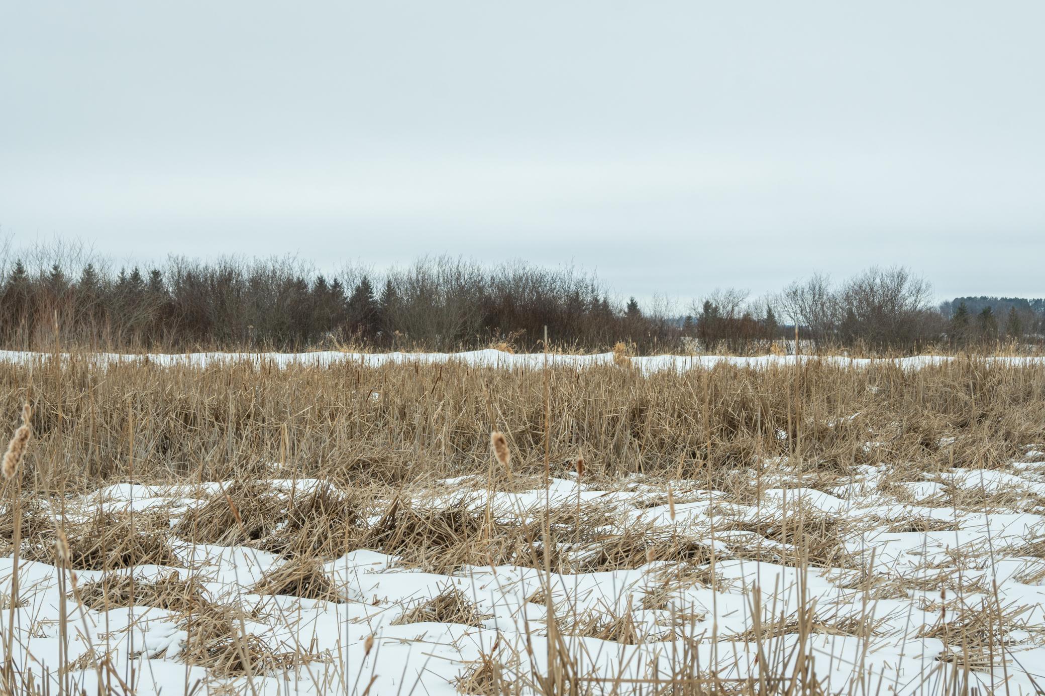 Tbd Sunny Acres Road Northeast Nelson, MN 56355 - Photo 51 of 67