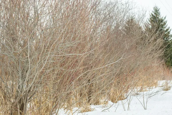 $320,000 | Tbd Sunny Acres Road Northeast, Nelson, MN 56355