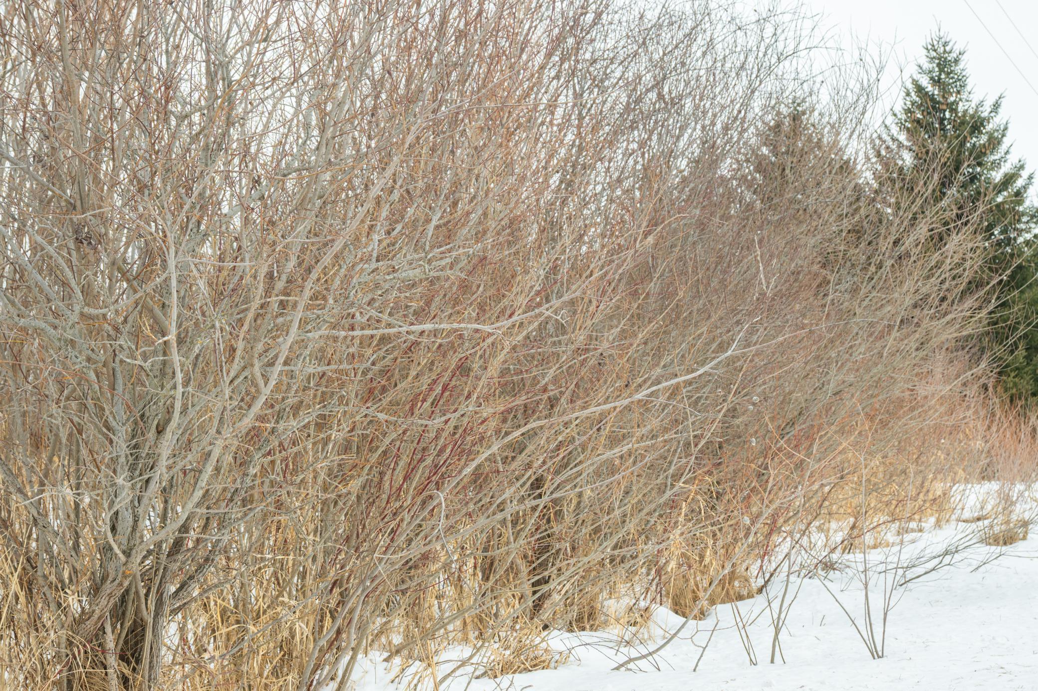 Tbd Sunny Acres Road Northeast Nelson, MN 56355 - Photo 54 of 67