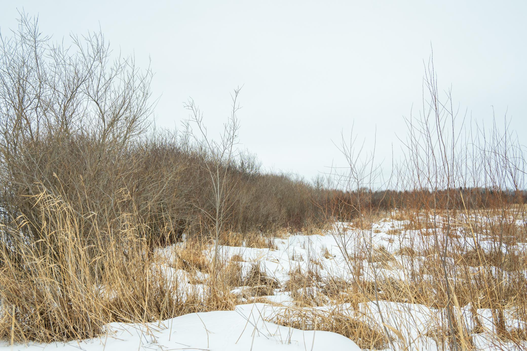 Tbd Sunny Acres Road Northeast Nelson, MN 56355 - Photo 58 of 67