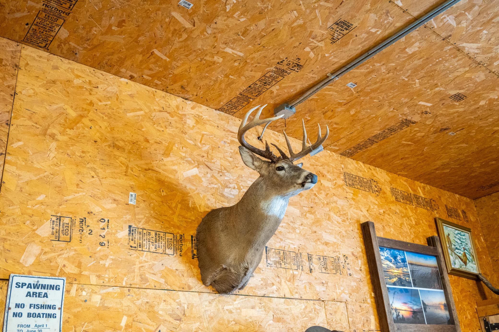 Tbd Sunny Acres Road Northeast Nelson, MN 56355 - Photo 64 of 67