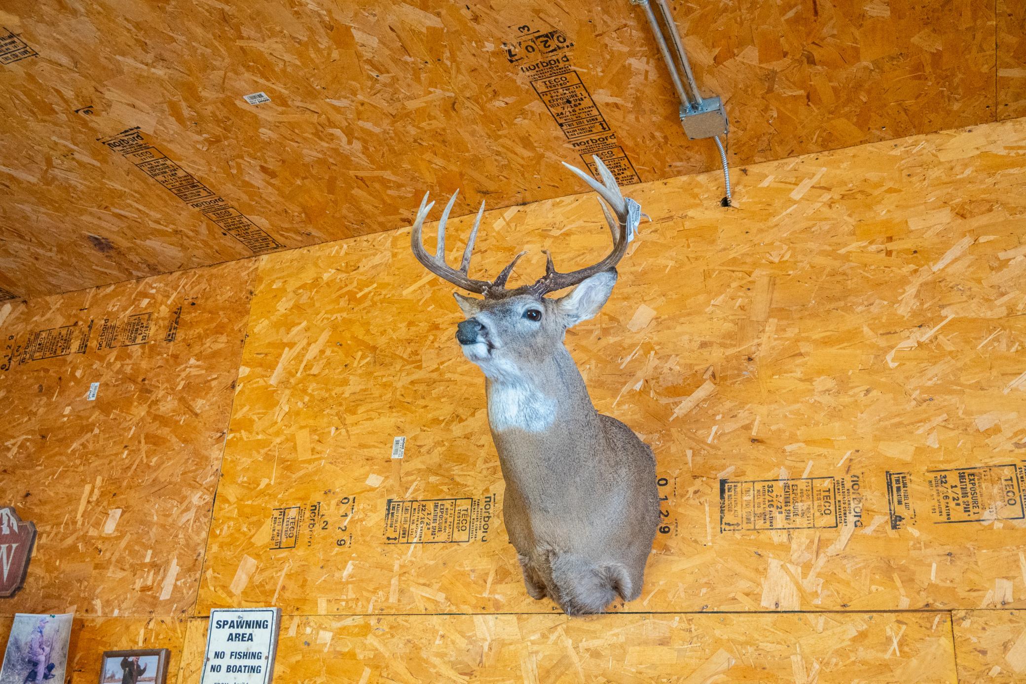 Tbd Sunny Acres Road Northeast Nelson, MN 56355 - Photo 65 of 67