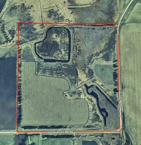 Tbd Sunny Acres Road Northeast Nelson, MN 56355 - Photo 67 of 67