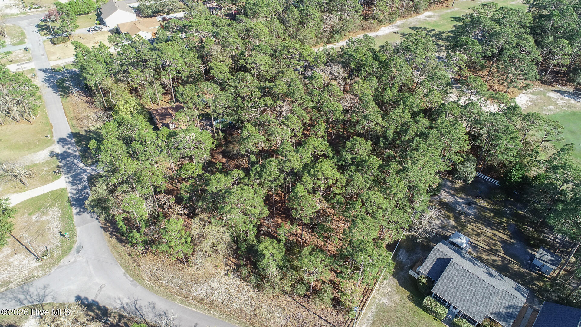 1154 Twin Lakes Drive Boiling Spring Lakes, NC 28461 - Photo 2 of 5 Aerial photos-5