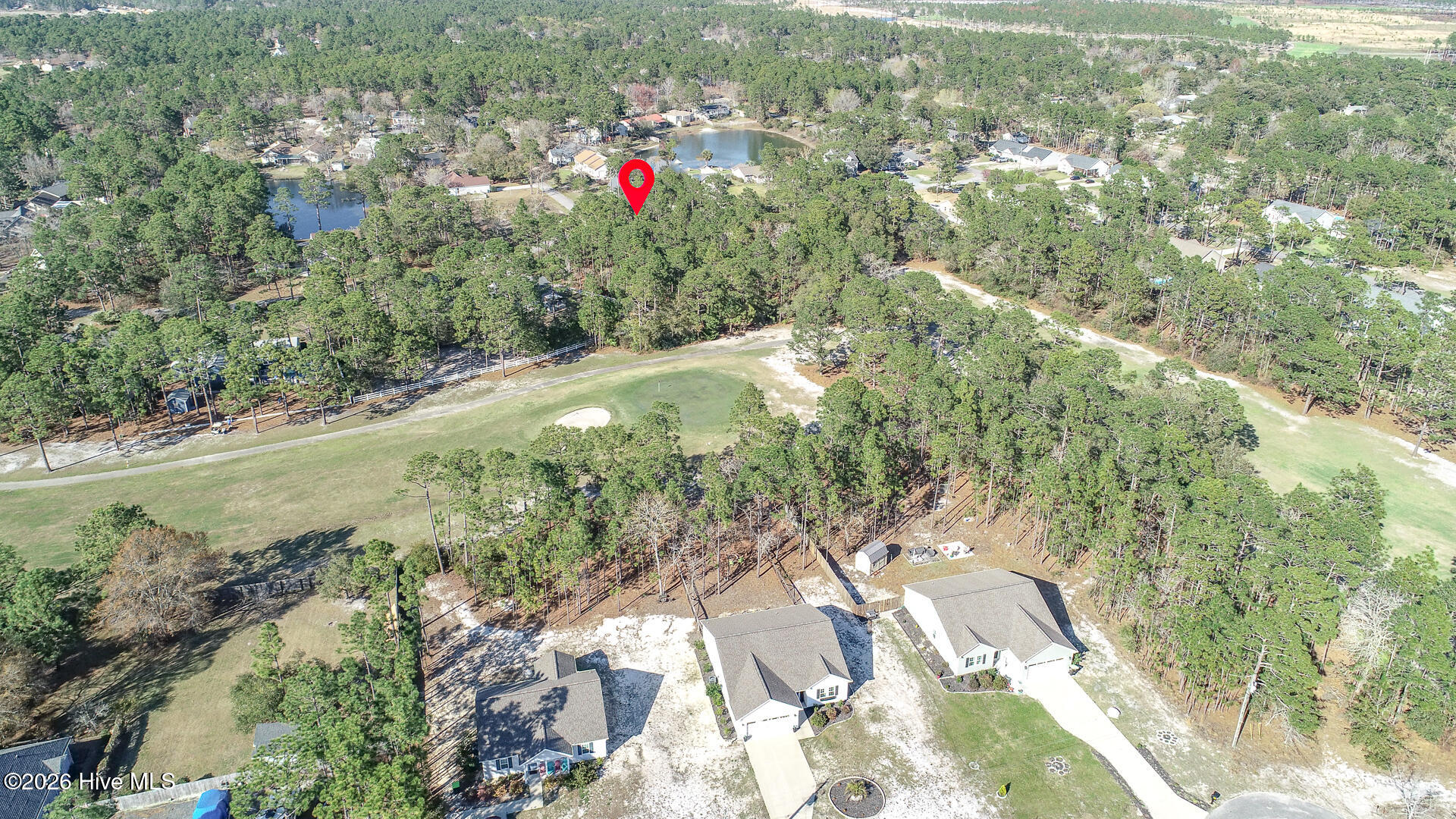 1154 Twin Lakes Drive Boiling Spring Lakes, NC 28461 - Photo 3 of 5 Aerial photos-2