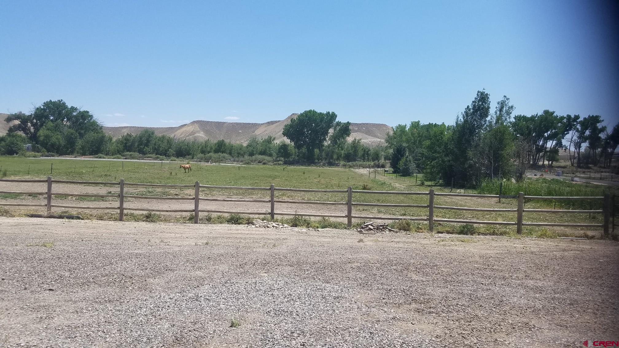 7095 Buena Vista Road Delta, CO 81416 - Photo 28 of 33 a view of park and trees