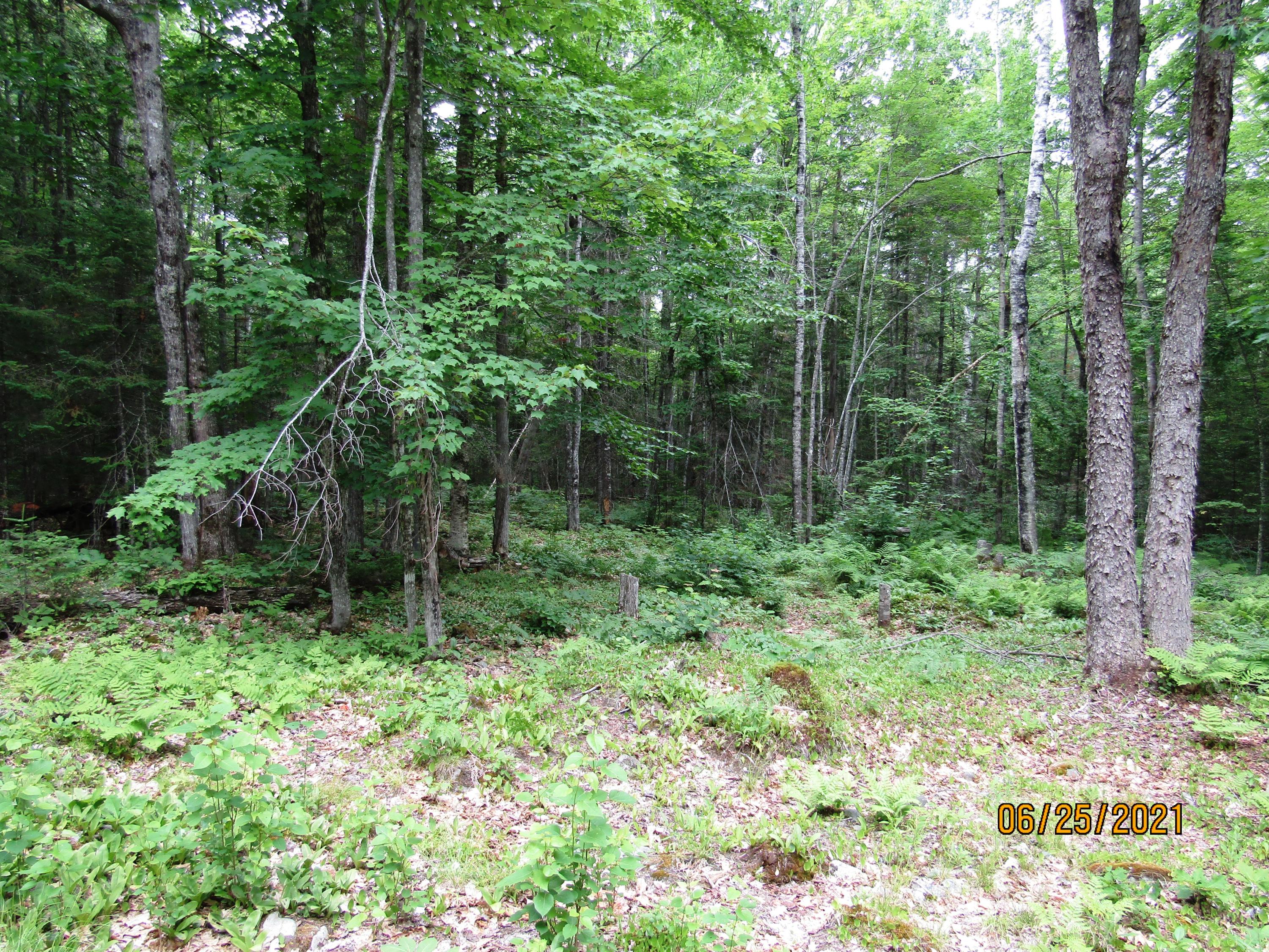 390 North Road Medford, ME 04463 - Photo 22 of 25 IMG_8387
