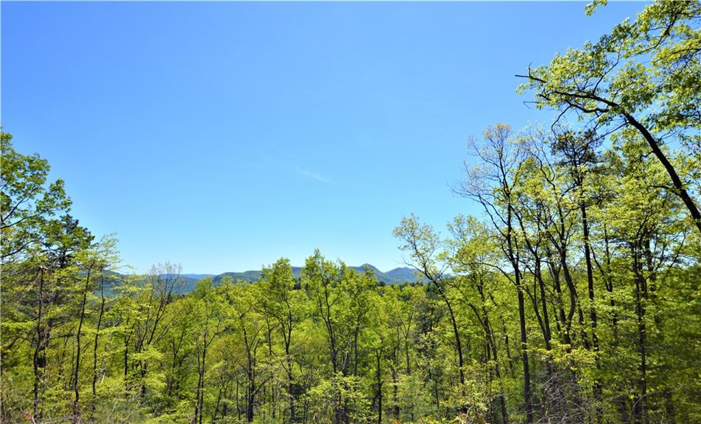 2208 Sampson Road Lenoir, NC 28645 - Photo 27 of 39 Gallery Image 27