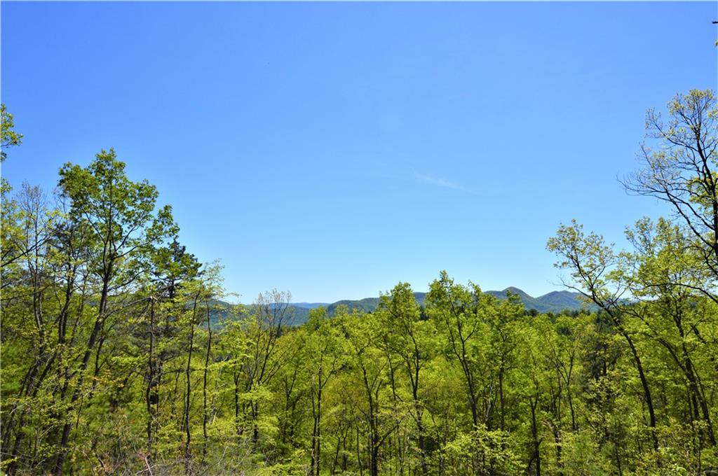 2208 Sampson Road Lenoir, NC 28645 - Photo 4 of 39 Gallery Image 4