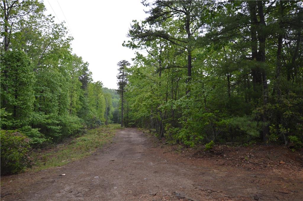 2208 Sampson Road Lenoir, NC 28645 - Photo 31 of 39 Gallery Image 31