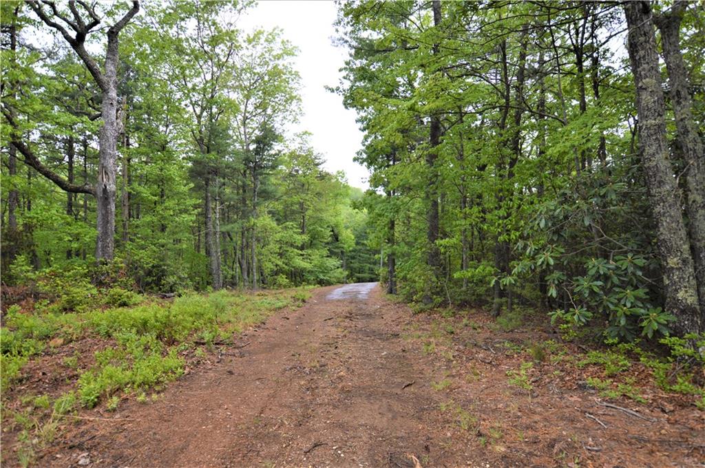 2208 Sampson Road Lenoir, NC 28645 - Photo 10 of 39 Gallery Image 10