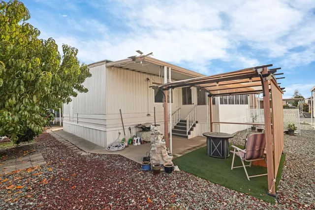 a view of a yard with plants and trees