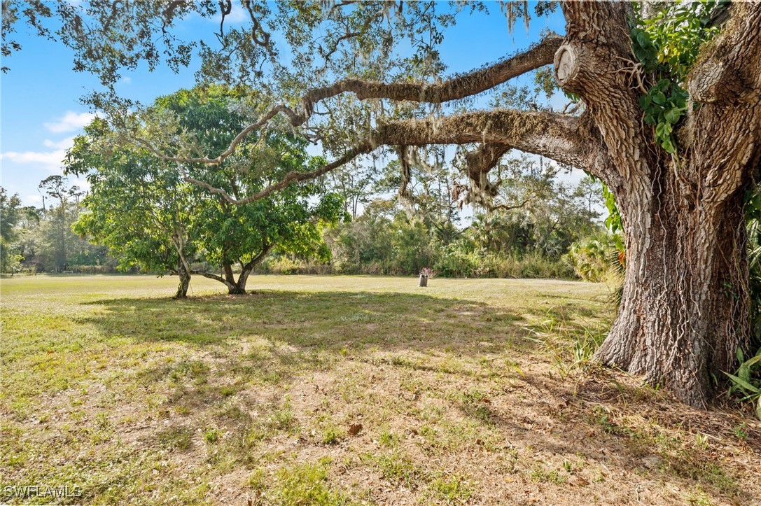 2280 Herzog Road Alva, FL 33920 - Photo 36 of 43 Gallery Image 36