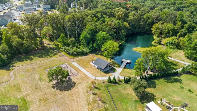 a view of a yard with plants