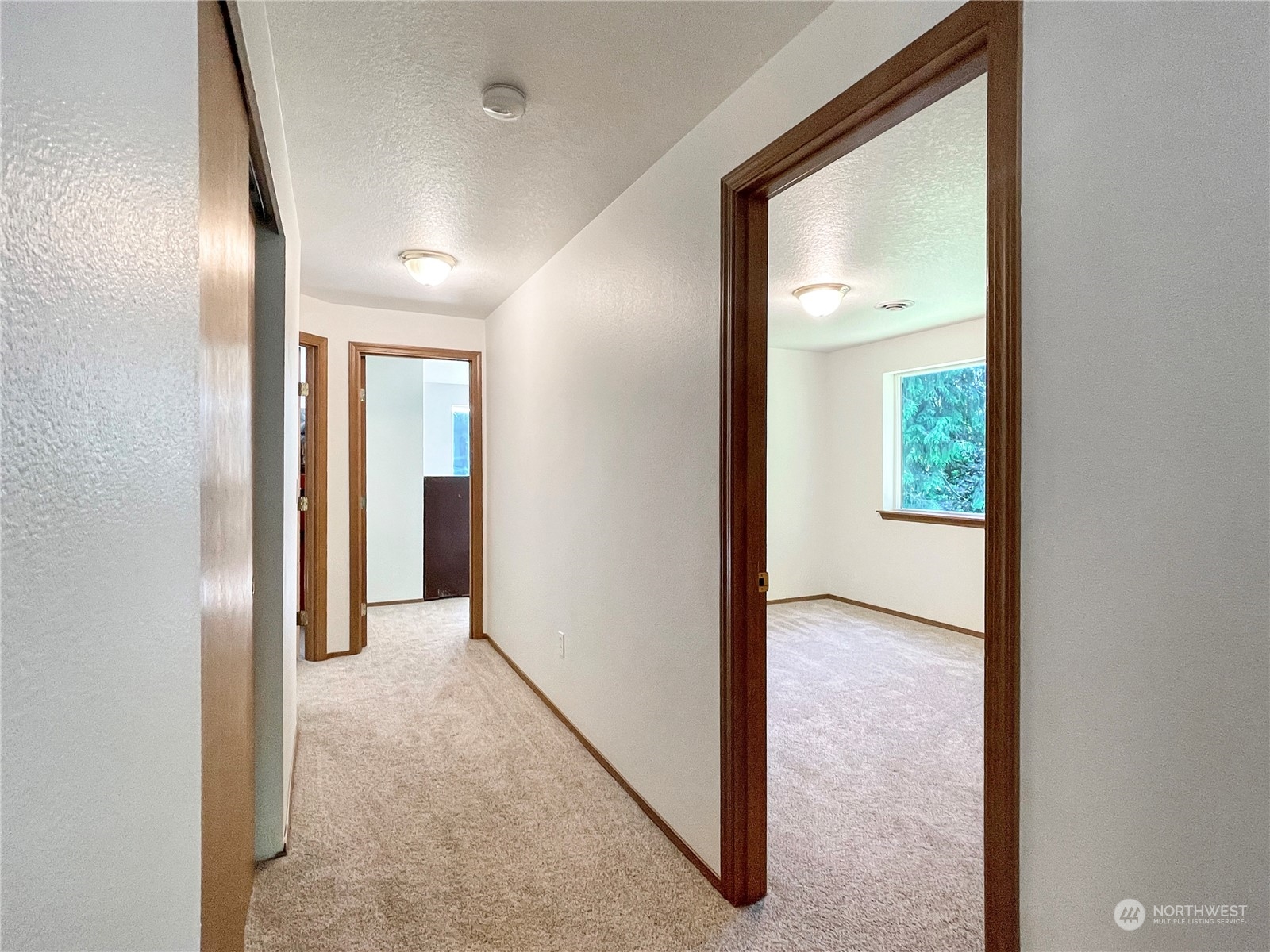 636 Studebaker Road Castle Rock, WA 98611 - Photo 11 of 39 Gallery Image 11