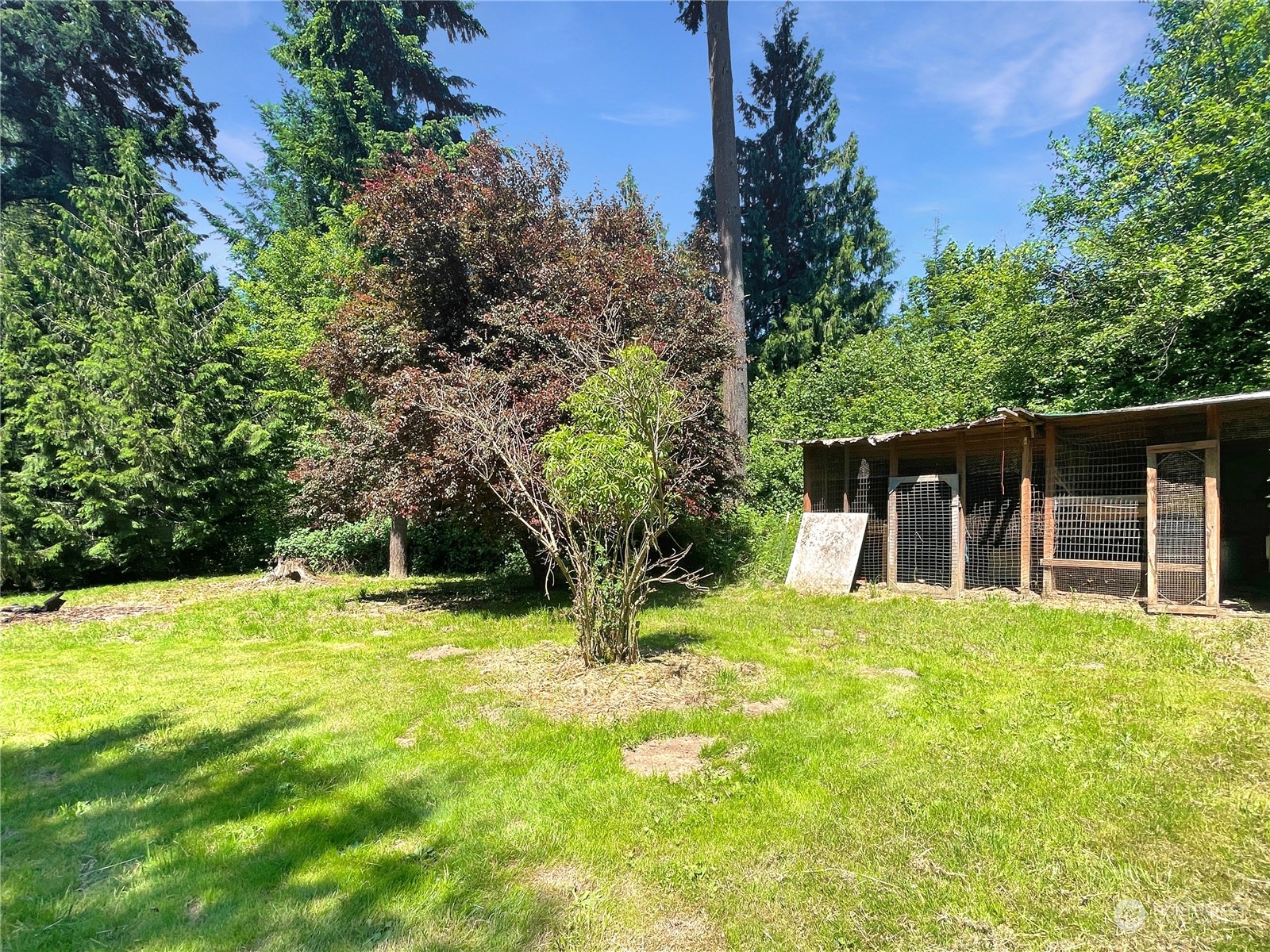 636 Studebaker Road Castle Rock, WA 98611 - Photo 31 of 39 Gallery Image 31