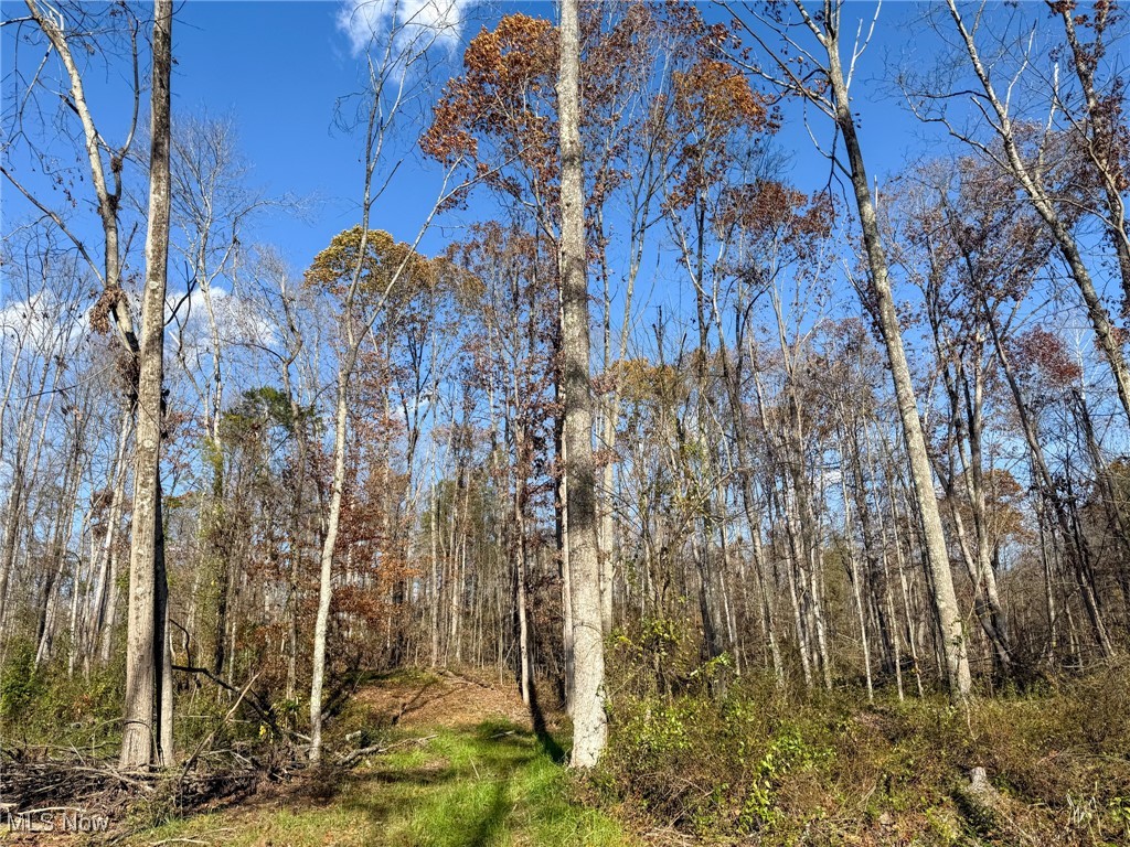 Kern Road Waterford, OH 45786 - Photo 12 of 49 View of woods