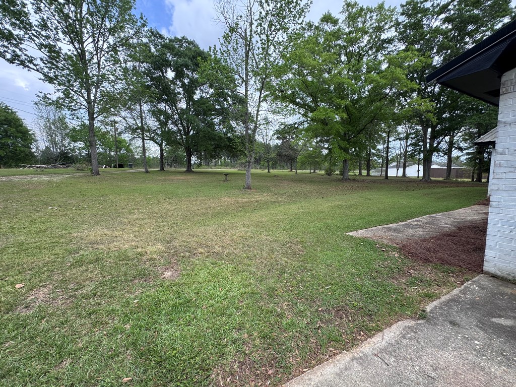 2501 Bethlehem Road Midland City, AL 36350 - Photo 3 of 29