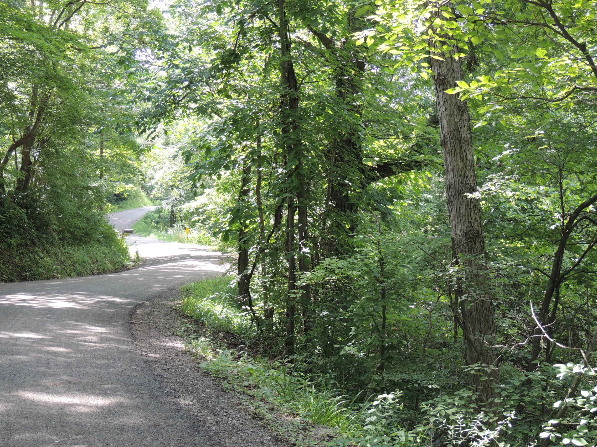 0 Clapper Hollow Road Laurelville, OH 43135 - Photo 2 of 6