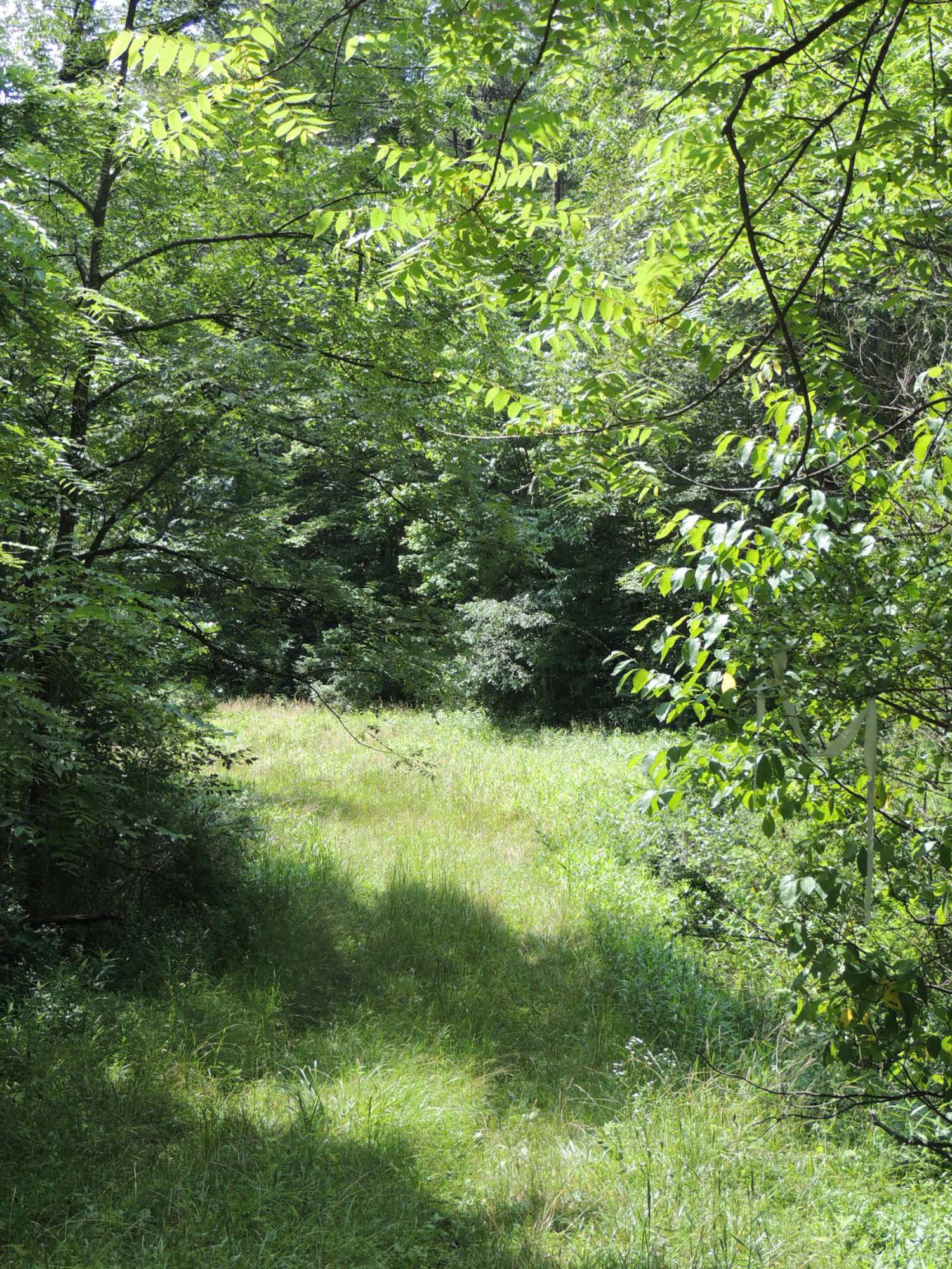 0 Clapper Hollow Road Laurelville, OH 43135 - Photo 3 of 6
