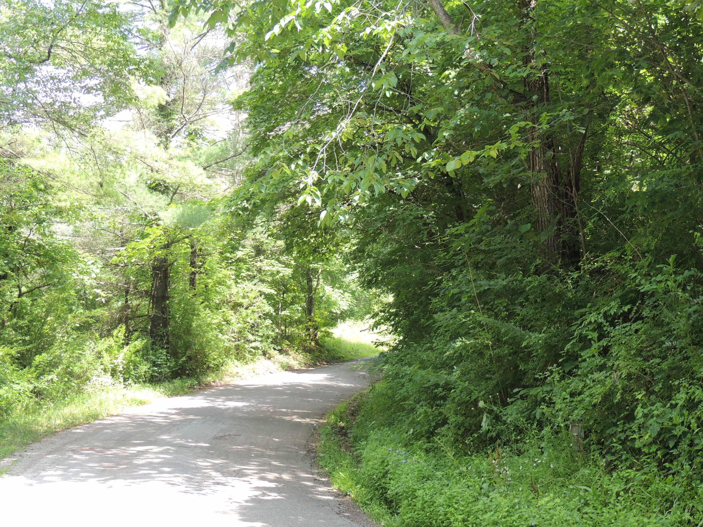 0 Clapper Hollow Road Laurelville, OH 43135 - Photo 4 of 6