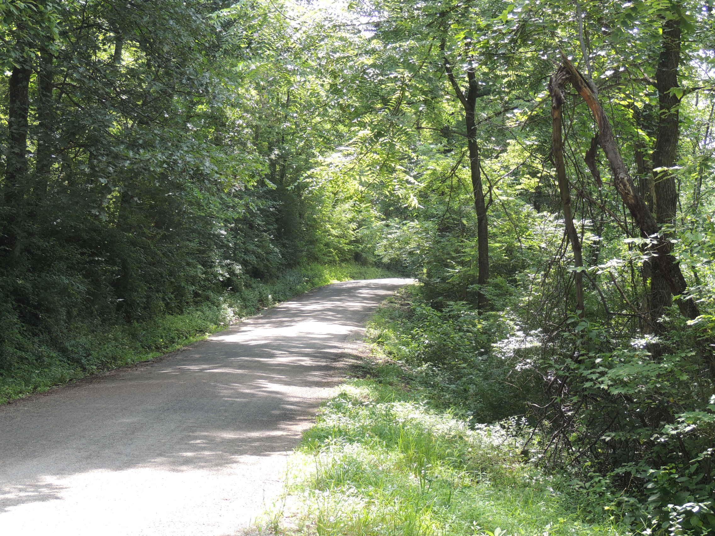 0 Clapper Hollow Road Laurelville, OH 43135 - Photo 5 of 6