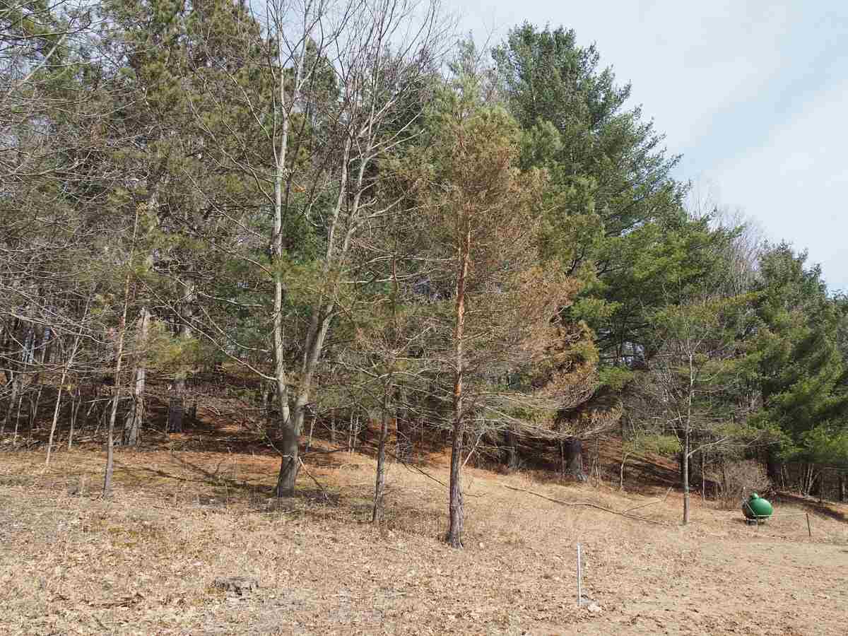 10550 Hooker Road Honor, MI 49640 - Photo 32 of 46 1844389-31.JPG