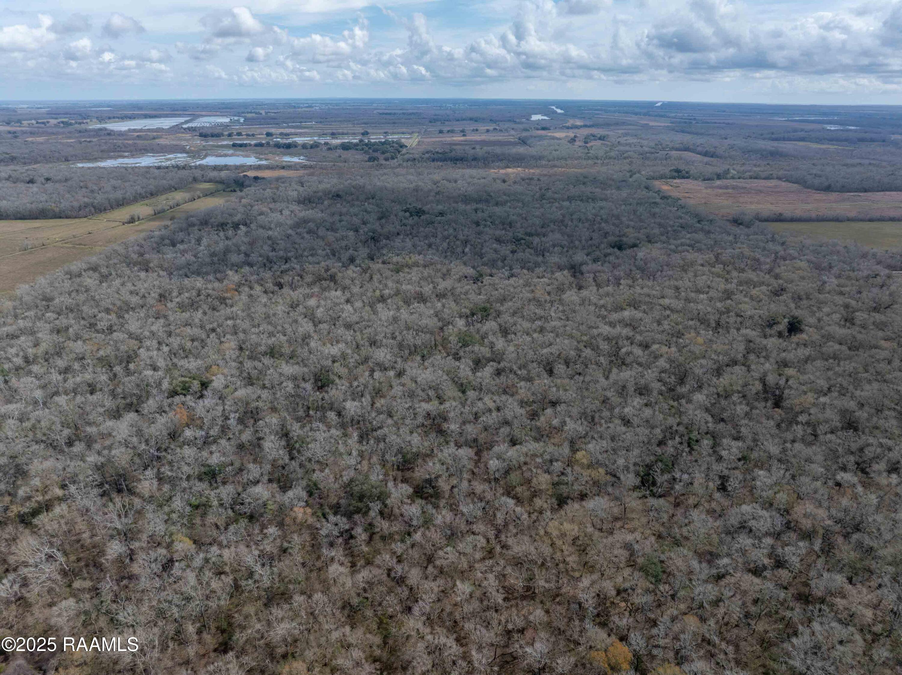1 Couvillion Road Abbeville, LA 70510 - Photo 5 of 10 CouvillionAerials-16 87