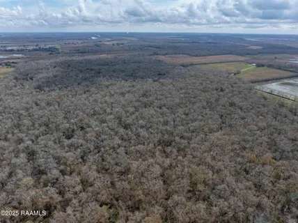 $299,000 | 1 Couvillion Road, Abbeville, LA 70510