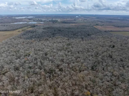 $299,000 | 1 Couvillion Road, Abbeville, LA 70510