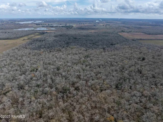 $299,000 | 1 Couvillion Road, Abbeville, LA 70510