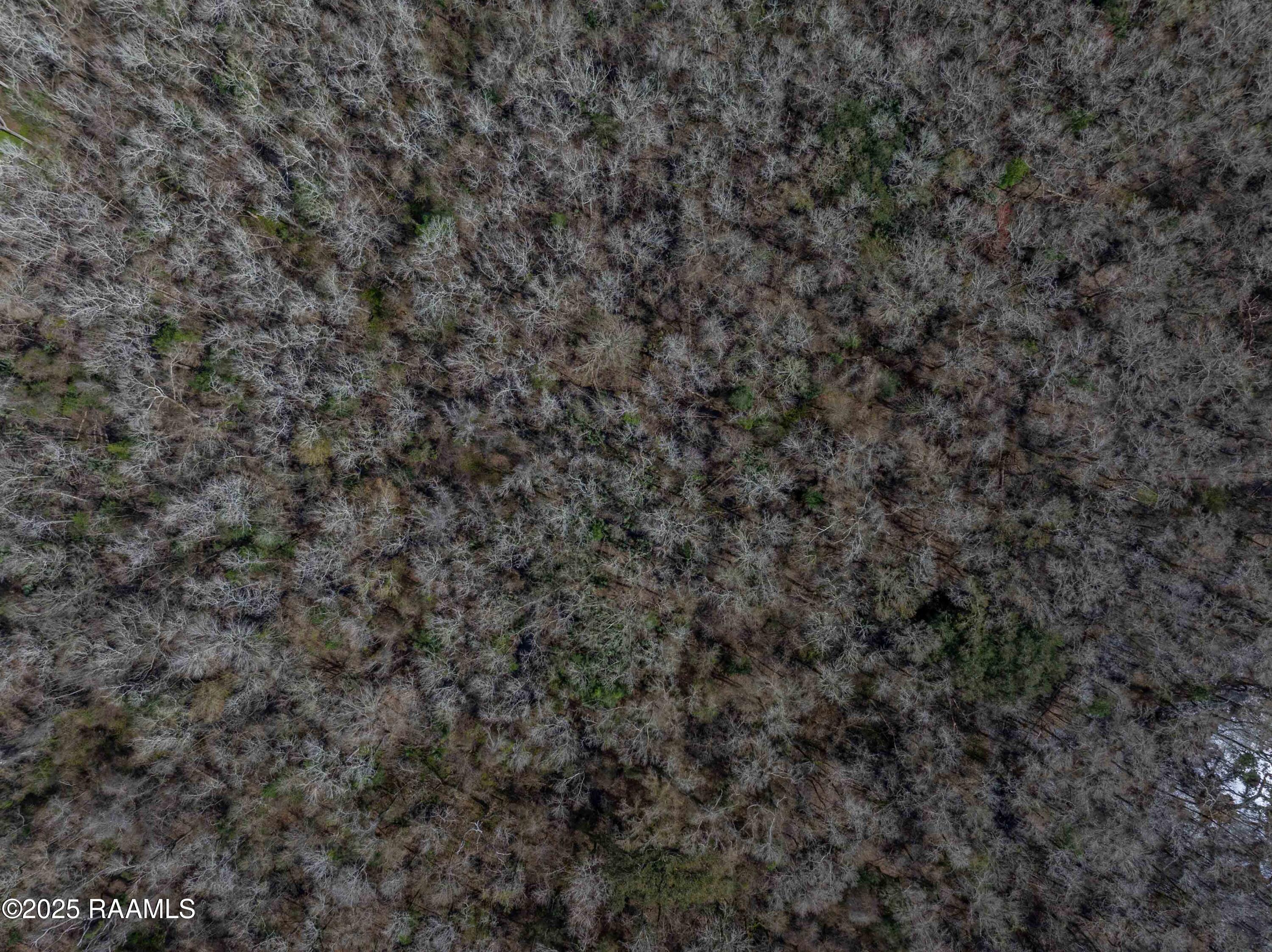 1 Couvillion Road Abbeville, LA 70510 - Photo 7 of 10 CouvillionAerials-18 87