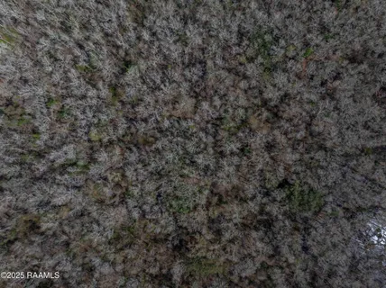 $299,000 | 1 Couvillion Road, Abbeville, LA 70510