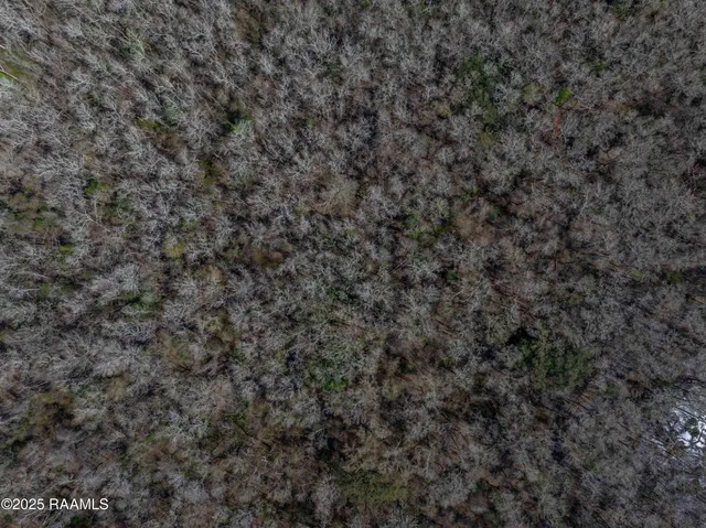 $299,000 | 1 Couvillion Road, Abbeville, LA 70510