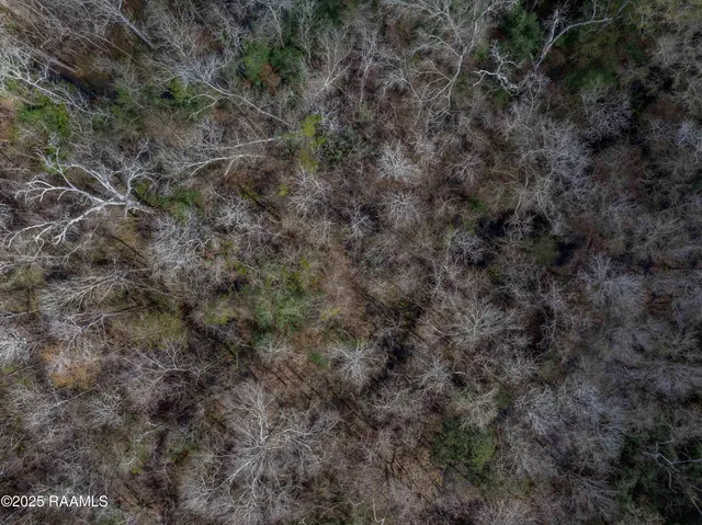 $299,000 | 1 Couvillion Road, Abbeville, LA 70510