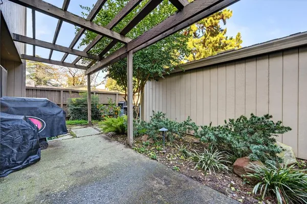 a view of a backyard with plants