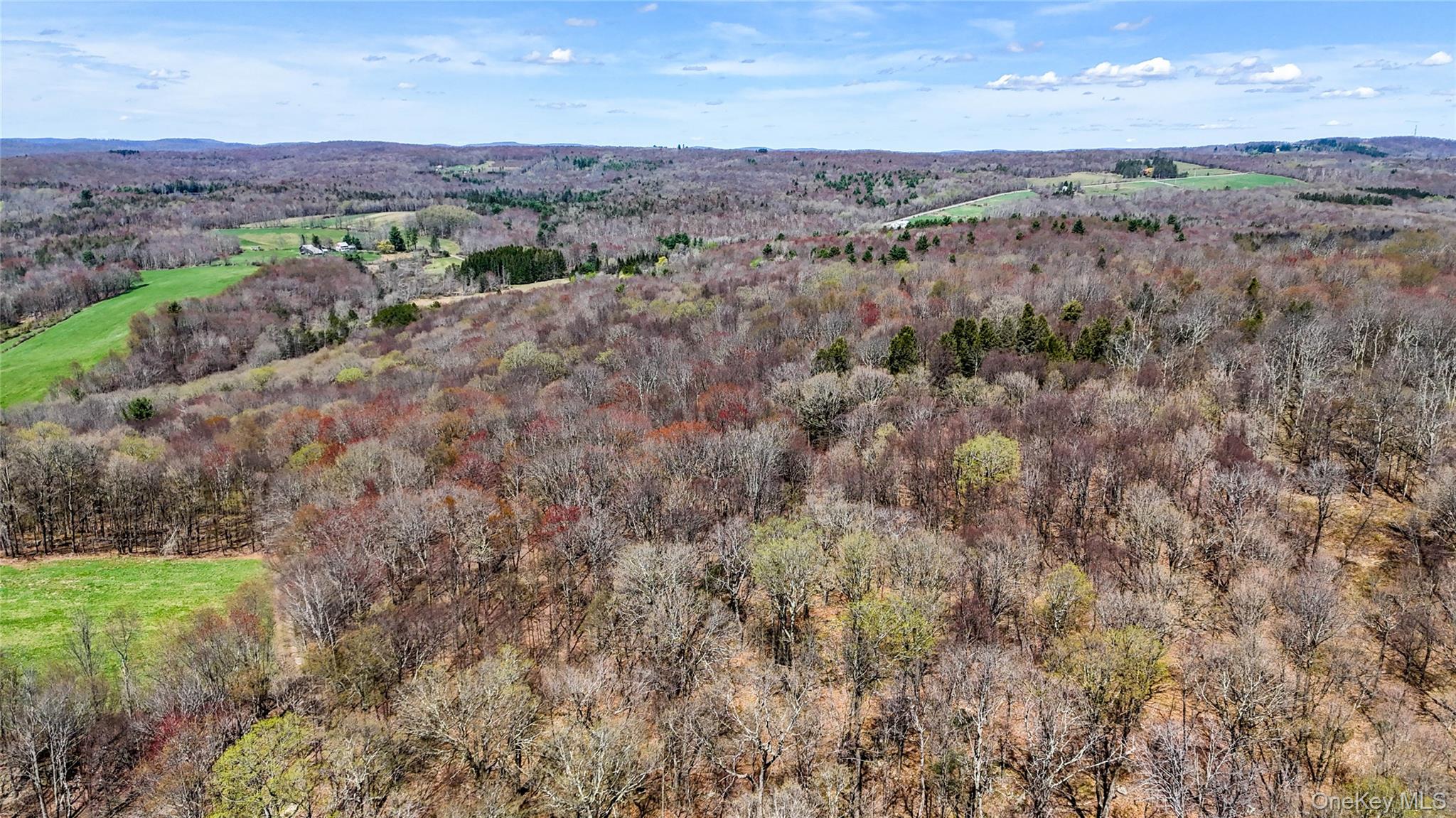 624 County Road Fremont Center, NY 12736 - Photo 7 of 33