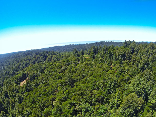 2005 Sparrow Valley Road Aptos, CA 95003 - Photo 24 of 25 Gallery Image 24