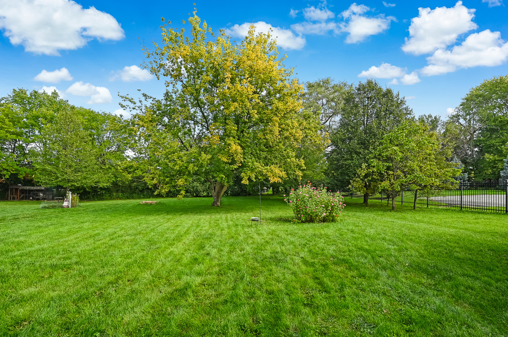 1934 Manning Road Darien, IL 60561 - Photo 18 of 18 a view of a big yard with a house in the background