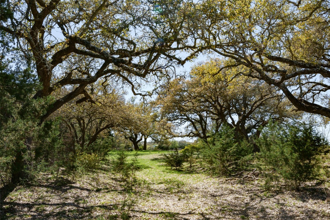 1440 Stone Ridge Mountain Drive Round Mountain, TX 78663 - Photo 1 of 23 a backyard of a house with a tree