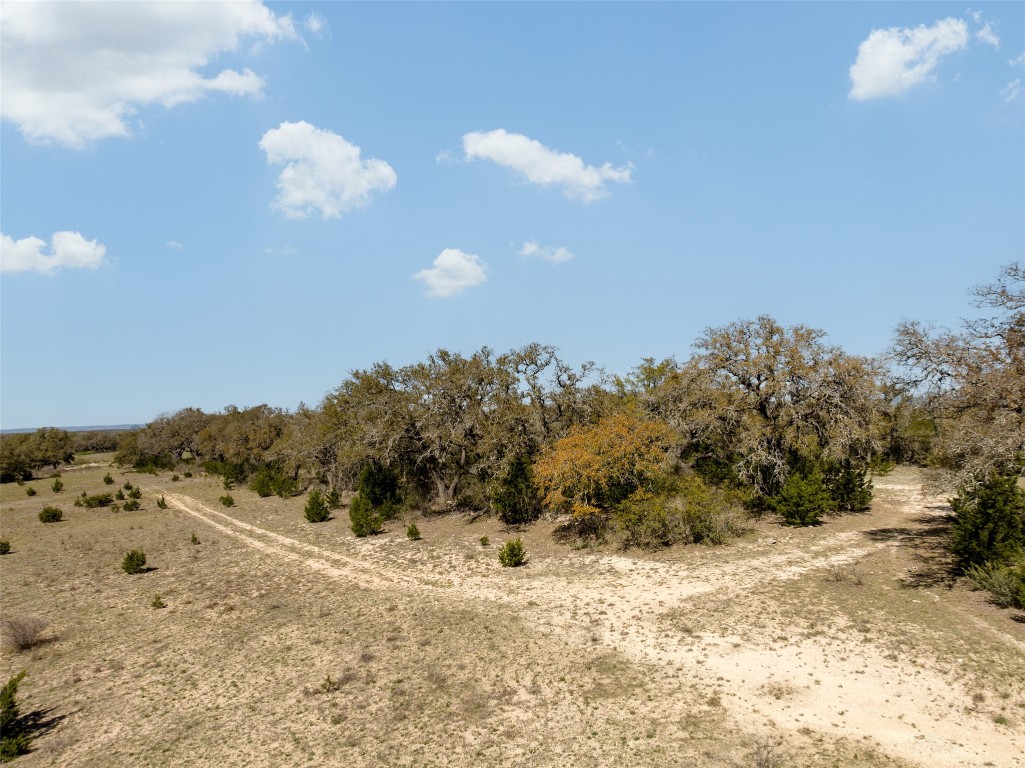 1440 Stone Ridge Mountain Drive Round Mountain, TX 78663 - Photo 14 of 23 a view of a dry yard