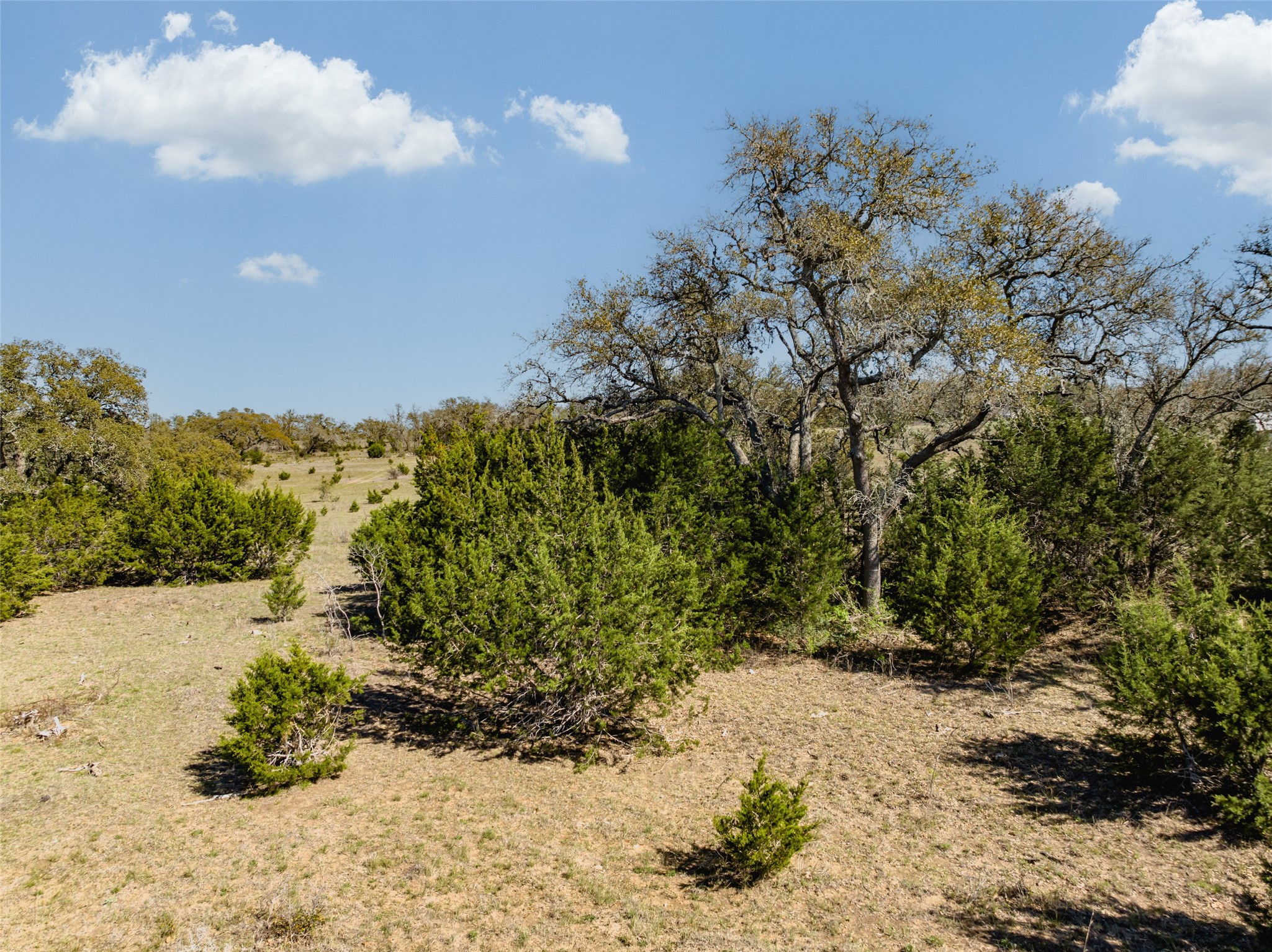 1440 Stone Ridge Mountain Drive Round Mountain, TX 78663 - Photo 18 of 23 a view of a yard with plants and trees