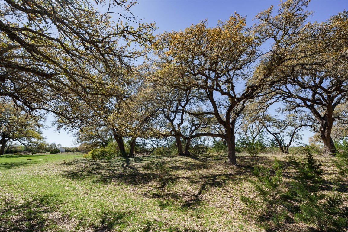 1440 Stone Ridge Mountain Drive Round Mountain, TX 78663 - Photo 2 of 23 a view of backyard space