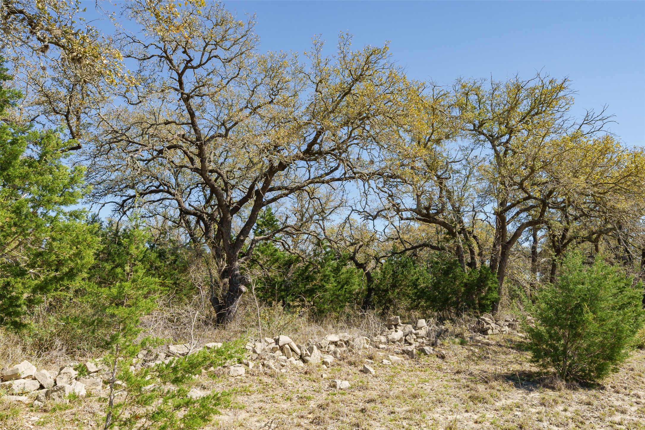 1440 Stone Ridge Mountain Drive Round Mountain, TX 78663 - Photo 22 of 23 a backyard of a house with large trees